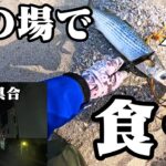 『開通後23号線の混み具合あり』遠州灘サーフの満潮付近でベイトなど大量に入って釣れました🐟in遠州灘、田原サーフ【釣行日2025/03/10(月)】