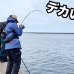 巨大なアジが釣れると噂の堤防でアジングしたらすごかった…！【直江津港第3東防波堤　ハッピーフィッシング】
