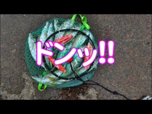 【直江津港第3東防波堤管理釣り場/直江津ハッピーフィッシング】尺アジ釣り 2025年 3月上旬 (後編)