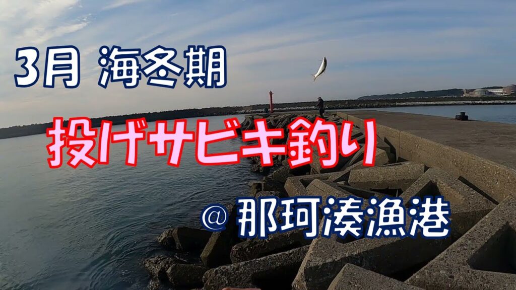 3月・海冬期の貴重な釣り物コノシロ＠那珂湊漁港【投げサビキ釣り】