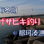 3月・海冬期の貴重な釣り物コノシロ＠那珂湊漁港【投げサビキ釣り】