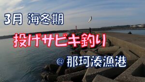 3月・海冬期の貴重な釣り物コノシロ＠那珂湊漁港【投げサビキ釣り】