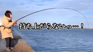 持ち上がらない程デカいアレと尺アジが信じられない程釣れた日【直江津港第3東防波堤　ハッピーフィッシング】