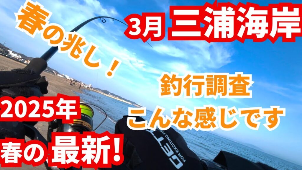 【3月最新!!】春の兆し!!?? 青物・ヒラメ・マゴチ狙い！【中潮】三浦海岸｜#vlog #釣り初心者 #サーフ #ショアジギング #浜王 #ブリ #神奈川 #海釣り