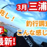 【3月最新!!】春の兆し!!?? 青物・ヒラメ・マゴチ狙い！【中潮】三浦海岸｜#vlog #釣り初心者 #サーフ #ショアジギング #浜王 #ブリ #神奈川 #海釣り