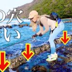 水深30センチ！魚が釣れるこの穴が凄い・・・