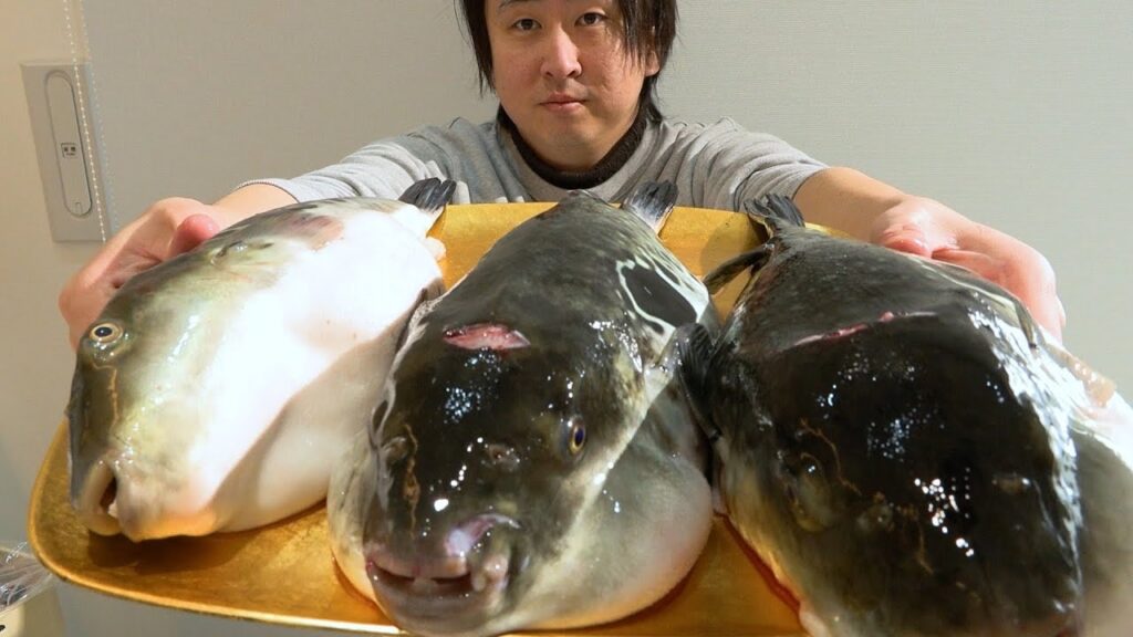 【釣り】トラフグガチャ。大荒れの海で釣れた3匹のトラフグ。どれか1つが・・・？？？