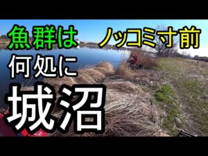 『舘林城沼』3月18日ノッコミ間近 魚は沼中央か
