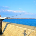 ぶっちゃけ3月は釣れる？！アオイソメ＋投げ釣りで本気の釣りを3日間してみた結果