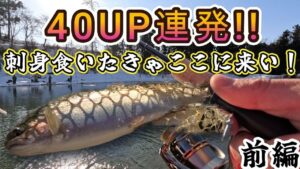 【40UP連発】お刺身が釣りやすい管理釣り場ってここじゃない?前編【おくとねフィッシングパーク】ポゴ GJ