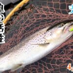 4月25日(日）支笏湖釣り　修行第5弾！
