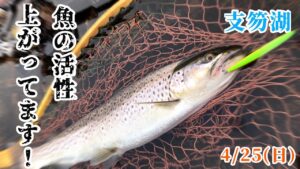 4月25日(日）支笏湖釣り　修行第5弾！