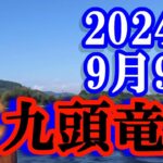 鮎釣り 5cm渇水クリア  北島 九頭竜川 2024年