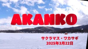阿寒湖 氷上釣り(実は6戦目) 終盤で、何とかサクラマスに会いたい!!!