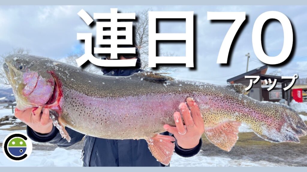 連日の70アップ✨みんなで大物が爆釣する天国のような釣り場【エリアトラウト】【管理釣り場】【ユーランド清水川】