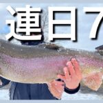 連日の70アップ✨みんなで大物が爆釣する天国のような釣り場【エリアトラウト】【管理釣り場】【ユーランド清水川】