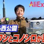 【アリエク】釣りらんたお薦めのAliExpressで購入できる釣具！東扇島西公園で実際に試してみた