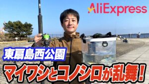 【アリエク】釣りらんたお薦めのAliExpressで購入できる釣具！東扇島西公園で実際に試してみた