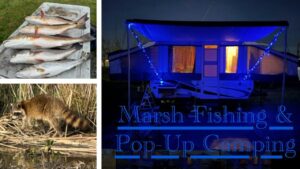 Easiest Lure for Marsh Fishing! #louisianafishing #beautifulday