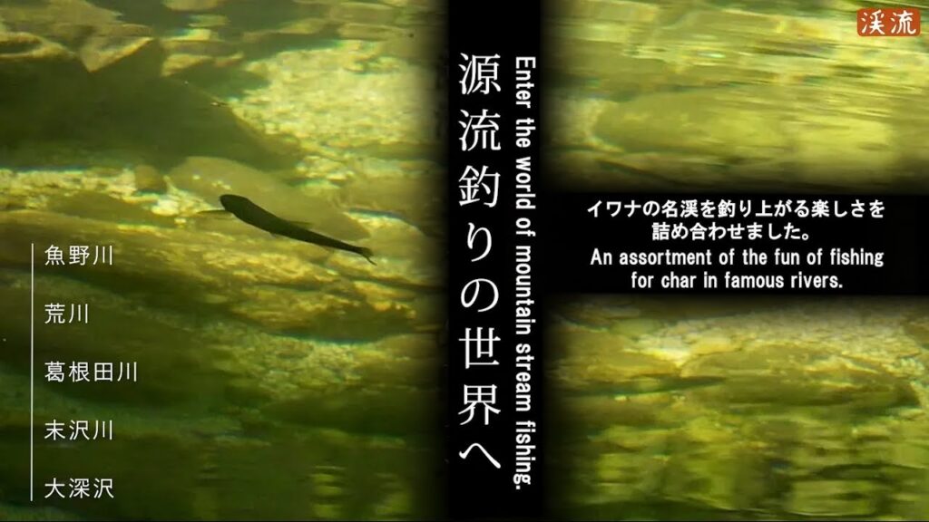 【渓流釣り】源流釣りの魅力をたっぷりと！イワナの名渓を遡行。Enjoy the charm of TENKARA fishing!