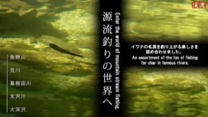 【渓流釣り】源流釣りの魅力をたっぷりと!イワナの名渓を遡行。Enjoy the charm of TENKARA fishing!