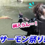 ほぼ全てが赤身のニジマスという激ヤバな管理釣り場がオープンした【エリアトラウト・八丁堀】／HartDesign(ハートデザイン)【Vol.431】