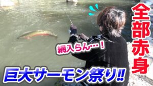 ほぼ全てが赤身のニジマスという激ヤバな管理釣り場がオープンした【エリアトラウト・八丁堀】/HartDesign(ハートデザイン)【Vol.431】