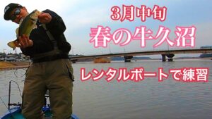 【バス釣り】春の牛久沼 レンタルボートで練習 ISSEI ビビビバグ