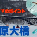 【K-ZAN穂先】場所選びのご参考に✨K-ZAN穂先で釣果アップを目指す💪