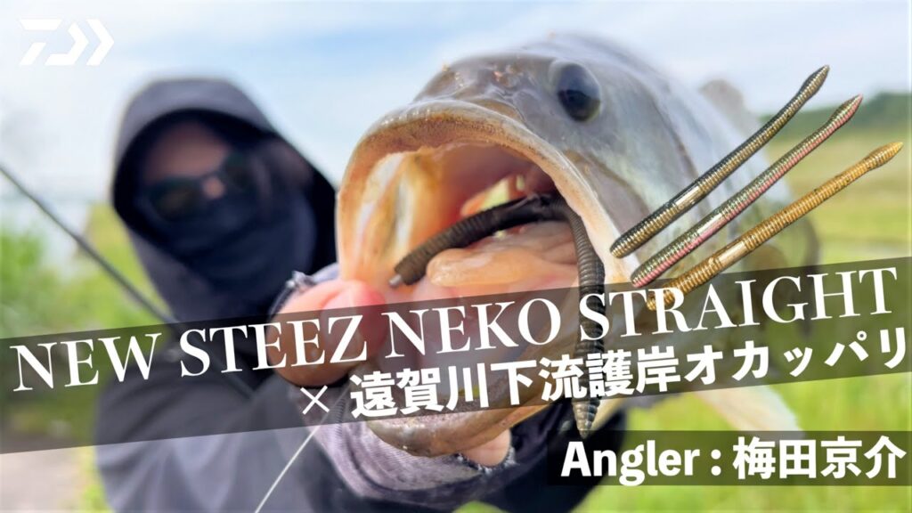 New STEEZネコストレートで遠賀川下流護岸エリアで釣りまくる！【梅田京介実釣解説】｜ Ultimate BASS by DAIWA Vol.760