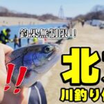 【初心者OK】放流後がチャンス‼︎無制限の『北方川釣り体験場』を徹底解説‼︎