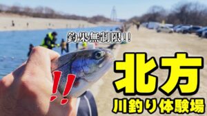 【初心者OK】放流後がチャンス‼︎無制限の『北方川釣り体験場』を徹底解説‼︎