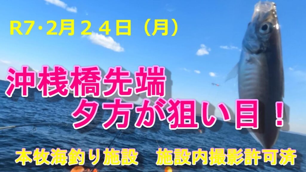 【本牧海釣り施設】沖桟橋先端夕方が狙い目！R7・２月２４日