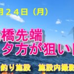 【本牧海釣り施設】沖桟橋先端夕方が狙い目！R7・２月２４日
