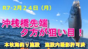 【本牧海釣り施設】沖桟橋先端夕方が狙い目!R7・2月24日