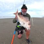 Surfcasting magical Muriwai Part 2 - a hot morning snapper bite puts fish in the bin at last.