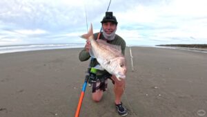 Surfcasting magical Muriwai Part 2 - a hot morning snapper bite puts fish in the bin at last.