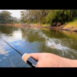 TEMUの格安ロッドは本当に使えるのか？実践テスト！デプスのサカマタ2.5が凄過ぎて驚愕