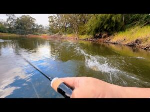 TEMUの格安ロッドは本当に使えるのか?実践テスト!デプスのサカマタ2.5が凄過ぎて驚愕