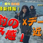 【北海道　釣り】小樽港　速報！最新情報！　爆釣の予感！Xデーは近いぞ！