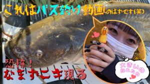 ブラックバス釣り‼今年の初フィッシュは・・・(笑)冬の埼玉荒川.びん沼川.入間川でバス釣り!夜釣りもしたよ。鯰なまずcatfishゲットだぜ。blackbassfishing Japanfishing