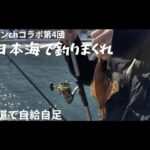 【北海道の釣り】はじめてカレイとホッケを釣ったよ！#タナセンchコラボ #自給自足 #田舎暮らし #釣り #海釣り #投げ釣り #ヒイカ #マメイカ #エギング #積丹