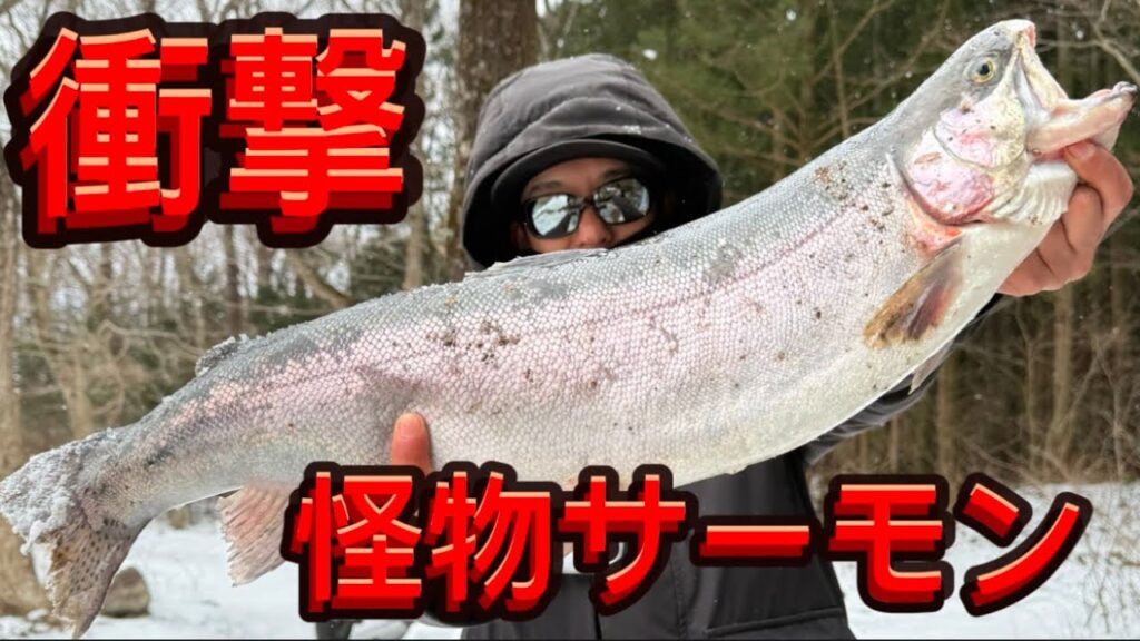 【実物です】合成一切無し‼️超巨大サーモン‼️#サーモン #エリアトラウト #管理釣り場 #攻略#蛇尾川フィッシングパーク#fishing #トラウト #トラウトフィッシング