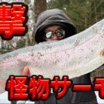 【実物です】合成一切無し‼️超巨大サーモン‼️#サーモン #エリアトラウト #管理釣り場 #攻略#蛇尾川フィッシングパーク#fishing #トラウト #トラウトフィッシング