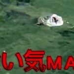 【すそのフィッシングパーク攻略】凄まじいバイトシーン‼️#fishing #エリアトラウト #管理釣り場 #トラウト #すそのフィッシングパーク #攻略