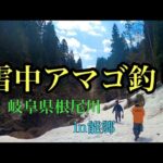 【渓流釣り】雪中アマゴ釣りin能郷 岐阜県根尾川