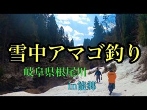 【渓流釣り】雪中アマゴ釣りin能郷 岐阜県根尾川