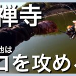 沈黙の王禅寺😭ジロー池はココを攻めろ【エリアトラウト】【管理釣り場】【ベリーパークinフィッシュオン！王禅寺】