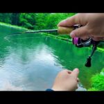 雨の管理釣り場で良型トラウトが連発したルアーはこれ!!   エリアトラウトin黒保根渓流フィッシング