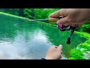 雨の管理釣り場で良型トラウトが連発したルアーはこれ!!   エリアトラウトin黒保根渓流フィッシング